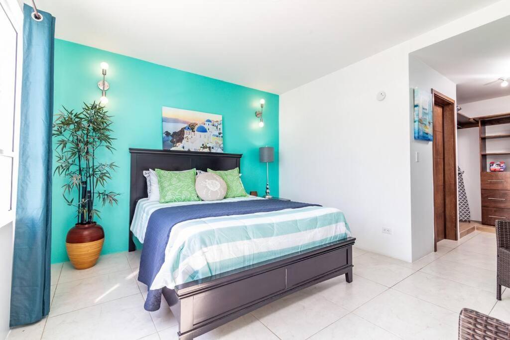 Bright Chick Condo 19 Gardenhaus Tijuana Zewnętrze zdjęcie
